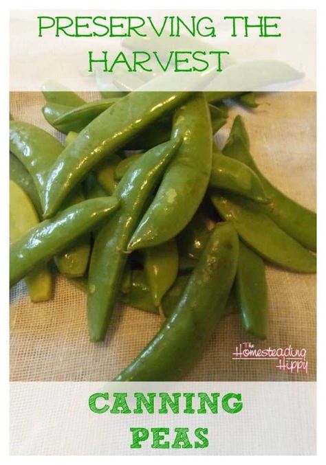 Canning Peas, Preserve Vegetables, Food Canning, Pressure Canning Recipes, Food Preserving, Preserving Foods, Canning Ideas, Canning Vegetables, Canning Food