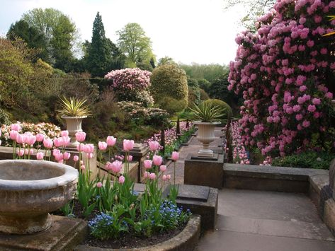 Ragged Robin's Nature Notes: Day Out - Part 2: Biddulph Grange Gardens Biddulph Grange Gardens, Beautiful Gardens Landscape, Marine Artist, Victorian Gardens, British Garden, Have A Lovely Weekend, Public Garden, Gorgeous Gardens, Small Gardens