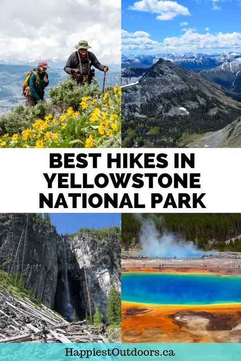 Best Hikes in Yellowstone National Park | Happiest Outdoors Yellowstone Hiking, Yellowstone Hikes, Yellowstone National Park Vacation, Frog Cake, Yellowstone Trip, Day Hiking, Cake Aesthetic, Estes Park Colorado, Hiking National Parks