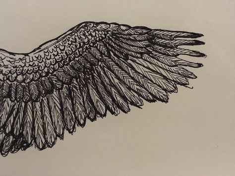 Bird Wing Drawing, Art Scribble, Wing Drawing, Wings Drawing, Bird Wings, Sketches Simple, Hand Drawn Illustration, Drawn Illustration, Pen Art