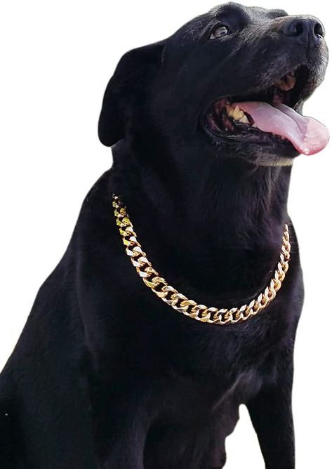 AmazonSmile : PP COLOR Gold Chain Dog Collar-3/4 Width Cuban Link Dog Necklace, Cute Fashion Pet Collar for Pit Bulldog, Light Metal Jewelry Chain Puppy Accessories 23" : Pet Supplies Chain For Dogs, Pit Bulldog, Dog Chain, Luxury Dog Collars, Hip Hop Chains, Cute Dog Collars, Puppy Accessories, Huge Dogs, Necklace Cute