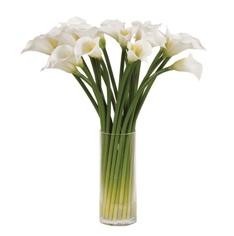 The Loire Lilies In VaseWhite lilies in glass column vase. Pot dimensions:H25 D10cmHeight 54cm Lilies In Vase, Column Vase, White Calla Lilies, Tall Glass Vase, Hanging Monkey, Monkey Wall, Hydrangea Arrangements, Glass Cylinder Vases, Clear Glass Vase