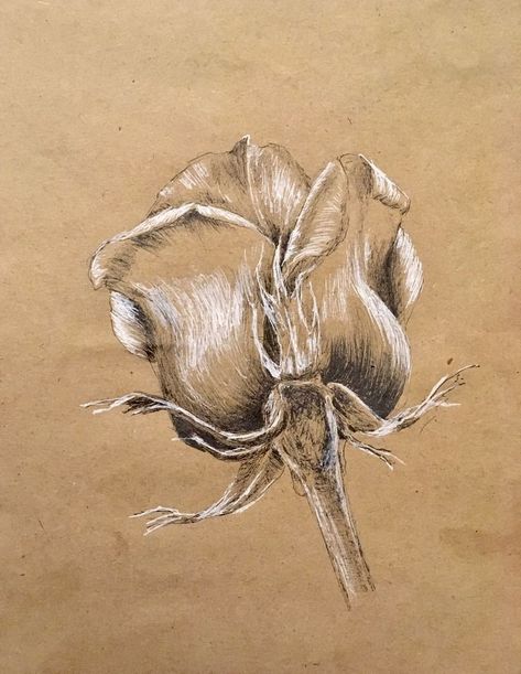 Drawing On Grey Toned Paper, Gray Paper Drawing, Toned Paper Drawing, Kraft Paper Art, Realistic Flower Drawing, Conte Drawing, Dandelion Drawing, Chalk Pastel Art, Gcse Art Sketchbook