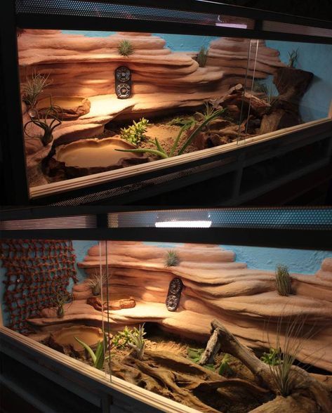 My Terrarium by Mietschie on DeviantArt Bearded Dragon Vivarium, Bearded Dragon Terrarium Ideas, Lizard Terrarium, Terrariums Diy, Bearded Dragon Diy, Bearded Dragon Terrarium, Bearded Dragon Enclosure, Bearded Dragon Cage, Bearded Dragon Habitat