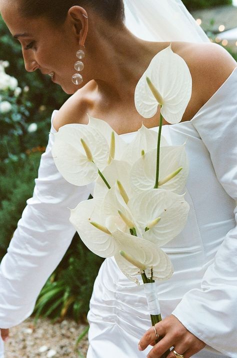 WEDDINGS - Sebastian Paynter Editorial Background, Anthurium Bouquet, White Orchid Bouquet, Modern Bridal Bouquets, Modern Wedding Bouquets, Baju Kahwin, Calla Lily Wedding, Punta Cana Wedding, Orchid Bouquet