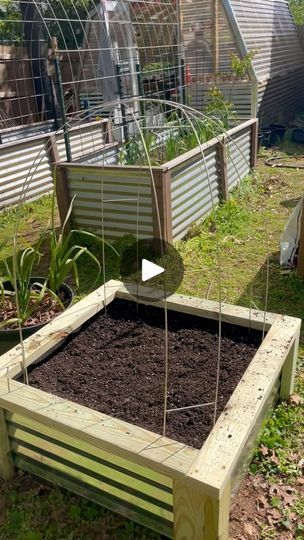 398 reactions · 54 shares | This small garden bed was made with metal & wood scraps that have been sitting in our garage for months 🙌🏻 The wire trellis system we made is new to us this year and I can’t wait to see how our vining plants do on them. For those of you who are interested they are less than $5 each- which honestly feels like a total steal because trellises can be pricey! We picked ours up at Home Depot but Lowe’s also has them. They’re called steel wire mesh sheets and are roughly 7” wide and 10ft long. Perfect for bending and creating mini arches! We intend to grow pole beans, cucumbers & melons on ours this year 🫘 🍉 🍈 🥒  . . . . . #diy #diytrellis #getsome #viningplants #raisedgardenbeds #weekendvibes #spring2024 #happyfrog #gardenideas #workhardplayhard #feedingthesoul Small Garden Bed, Vining Plants, Trellis System, Wire Trellis, Diy Trellis, Pole Beans, Wood Scraps, Garden Bed, Garden Trellis