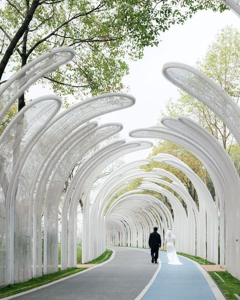 A wandering dragon-like Emerald Screen Pergola by Wutopia Lab @wutopia.lab 🔗 https://www.amazingarchitecture.com/park/a-wandering-dragon-like-emerald-screen-pergola-by-wutopia-lab Photography: CreatAR lmages @creatarimages In March 2024, Wutopia Lab’s wandering dragon-like Emerald Screen Pergola was officially unveiled at Bogong Island Ecology Park in Wuxi, China.The Emerald Screen Pergola is an important architectural feature in classical Chinese gardens. It is typically constructed fro... Screen Pergola, Chinese Garden Design, Corridor Design, Urban Landscape Design, Chinese Garden, Architecture Design Concept, Shade Structure, Climbing Plants, Architectural Features