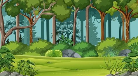 Vector jungle scene with various forest ... | Premium Vector #Freepik #vector #cartoon-jungle #cartoon-forest #jungle-tree #forest-landscape Jungle Pictures, Jungle Cartoon, Jungle Images, Forest Cartoon, Jungle Tree, Photoshop Backgrounds Backdrops, Cartoon Trees, Jungle Scene, Forest Backdrops