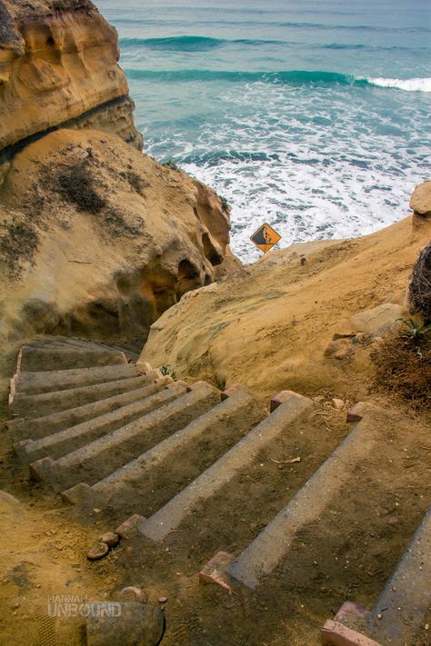 Torrey Pines San Diego, California: Hike Amongst the Rarest Pine Tree in The World: Torrey Pines Hike, Torrey Pines San Diego, Torrey Pines State Reserve, San Diego Bucket List, San Diego Hiking, San Diego Activities, California Hikes, Cali Life, California Destinations