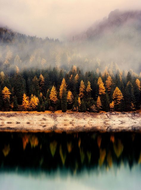 Taiga Landscape, Wallpaper Halloween, Have Inspiration, Autumn Landscape, Fall Wallpaper, Landscape Wallpaper, Autumn Photography, Nature Wallpaper, Beautiful World