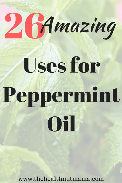 Benefits Of Peppermint Oil, Benefits Of Peppermint, Peppermint Oil Uses, Peppermint Oil Benefits, Get Rid Of Spiders, Mint Oil, How To Relieve Headaches, Essential Oil Benefits, Health Nut