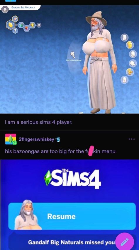 Sims Memes, Silly Images, Silly Pictures, Really Funny Pictures, Tumblr Funny, Funny Laugh, Funny Posts, Gotham, Mood Pics