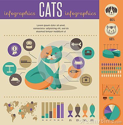 Pet Infographic, Cat Infographic, Animal Infographic, Female Icon, Elements Illustration, New Cat, Web Blog, Banner Printing, Cats Illustration