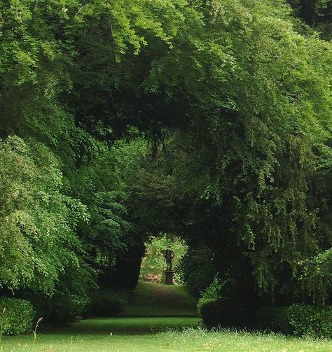 Green Universe, Secret Gardens, Jolie Photo, Nature Aesthetic, Magical Places, Pretty Places, Beautiful Scenery, Dream Garden, Malaga