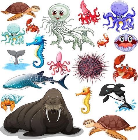 Sea Animals, Sea Creatures, Premium Vector, Different Types, White Background, Vector Free, Animals, White