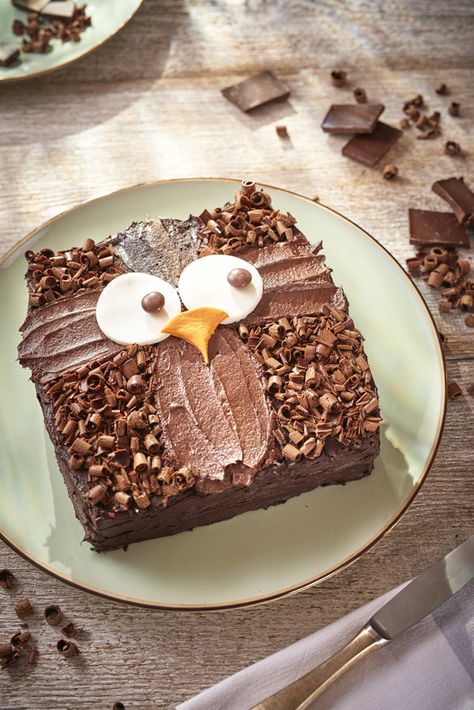 How to make an owl cake. Easy decoration idea for an owl birthday cake, made using a simple basic chocolate sponge recipe (square) and decorations to make an owl. So cute Easy Kids Birthday Cakes, Owl Cake Birthday, Sponge Recipe, Owl Cakes, New Birthday Cake, Owl Cake, Recipe Tutorial, Owl Birthday, Chocolate Sponge