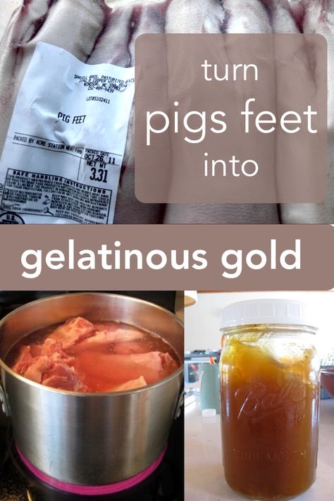 Uses For Beef Gelatin, Pig Feet Bone Broth, Canning Meals, How To Make Gelatin, Ray Peat, Pig Trotters, Alkaline Body, Historical Food, Pho Broth