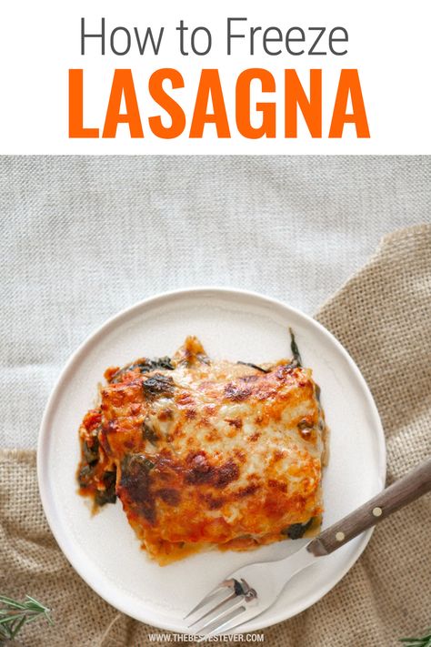 How To Freeze Cooked Lasagna, Frozen Lasagna Recipe Freezer Meals, Freeze Lasagna How To, Freezing Lasagna How To, Lasagna Recipe To Freeze, Can You Freeze Lasagna, Freezing Lasagna, Lasagna Florentine Recipe, How To Freeze Lasagna