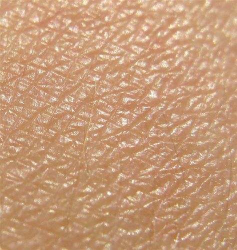 Human Skin Bump map texture Human Skin Texture, Homemade Skincare, Skincare Company, Skin Facts, Skin Bumps, Skin Photo, Face Creams, Texture Mapping, Body Anatomy