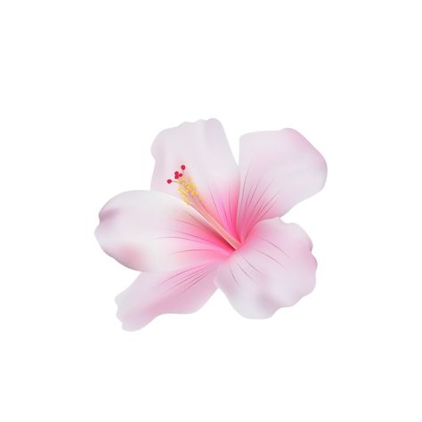 Flower White Background Aesthetic, Iphone Stickers Aesthetic, Hibiscus Widget, Pink Flower White Background, Flower Icon Aesthetic, Pink Png Aesthetic, Flower Icon Png, Flowers With White Background, Pink Flower Png