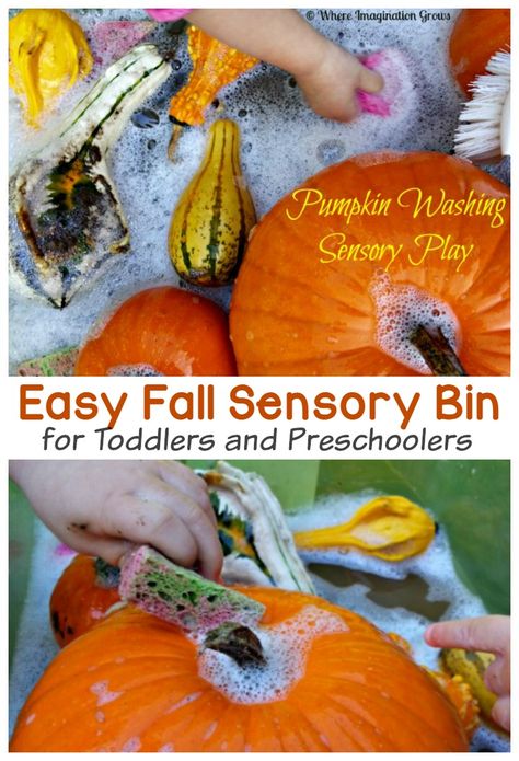 Pumpkin Washing, Sensory Bin For Toddlers, Fall Sensory Bin, Fall Activities For Toddlers, Fall Sensory, Halloween Sensory, Pumpkin Activities, Fall Activity, Fun Fall Activities