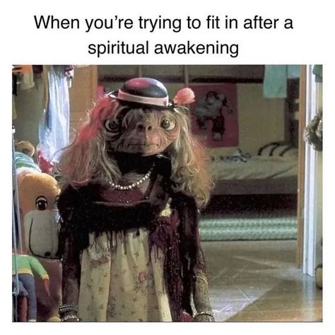 Just a little spiritual meme dump to make you life #esoteric #spiritualjourney Dominicans Be Like, Workplace Memes, Getting Up Early, Try To Remember, Photo Instagram, Spiritual Journey, Bones Funny, Spiritual Awakening, Dankest Memes