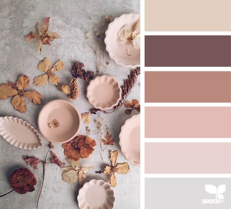 ...blush, mauve, hint of pale grey blue with taupe or brown... Bathroom Brown, Beige Color Palette, Brown Color Schemes, Deco Rose, Bedroom Color Schemes, Design Seeds, Color Palette Design, Brown Tones, Bedroom Colors