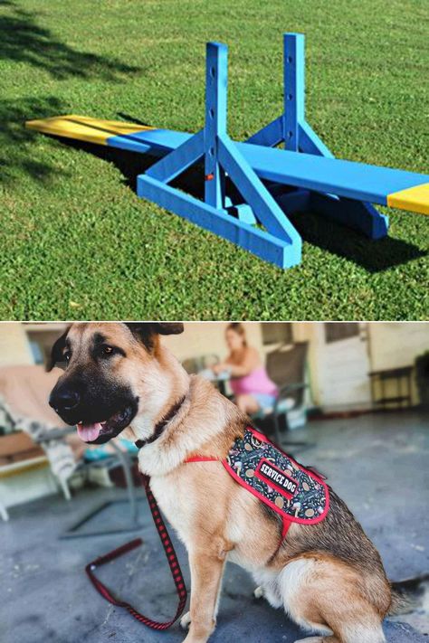 Diy Dog Seesaw, Diy Dog Agility Seesaw, Diy Agility Equipment, Diy Dog Agility Equipment, Dog Agility Diy, Dog Agility Course Diy, Dog Gym, Dog Agility Equipment, Indoor Dog Park