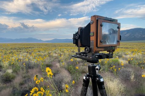 Tilt Shift Lens, Large Format Photography, Color Negative Film, Large Format Camera, Full Frame Camera, Film Images, Tilt Shift, Light Leak, Kodak Portra