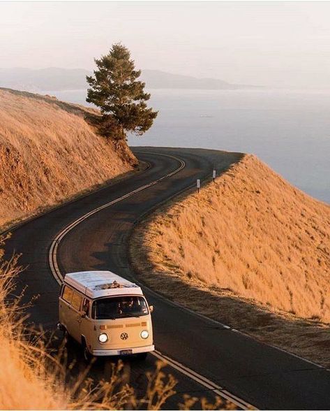 Vw Minibus, Mount Tamalpais, Volkswagen Bus, Vw Bus, Travel Aesthetic, Van Life, Travel Dreams, The Ocean, Volkswagen