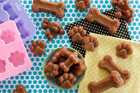 Dog Gelatin Treats, Homemade Dog Chews Bones, Gelatin Cat Treats, Homemade Dog Bone Filling, Diy Milkbone Dog Treats, Dog Treat Recipe For Silicone Mold, Beef Gelatin, Easy Dog Treat Recipes, Easy Dog Treats