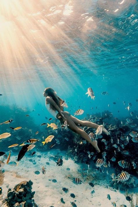 Snorkeling Pictures, Swimming In The Ocean, Water Aesthetic, Photo To Art, Underwater Photos, Water Photography, Ocean Creatures, Underwater Photography, In The Ocean