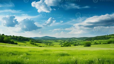 AI generated landscape photo of a green flowering meadow on a sunny summer day Flowering Meadow, Sunny Summer Day, Tree Saw, Wedding People, Cityscape Photos, Logo Banners, Nature Backgrounds, Background Banner, Summer Day