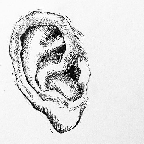 This is apparently what happens when I have an ear infection and can’t decide what to doodle I guess. . . . . #drawing #art #sketch #ink… Ear Shading, Ear Shading Drawing, Ear Sketching, Pointy Ears Drawing, Drawing Ears, Earbuds In Ear Drawing, Ear Sketch, Ear Sketch Step By Step, Ears Drawing