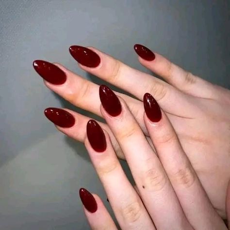 Pretty Maroon Nails, Nails Inspiration Maroon, Maroon Nail Extensions, Maroon Nail Paint, Maroon Oval Nails, Maroon Nails Ideas, Convocation Nails, Red Wine Nail Color, Round Long Nails