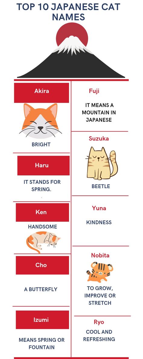 Japanese Cat Names With Meaning, Korean Cat Names, Japanese Cat Names, Cat Names For Boys, Names For Pets, Names For Male Cats, Ginger Cat Names, Boy Cat Names, Brown Cats