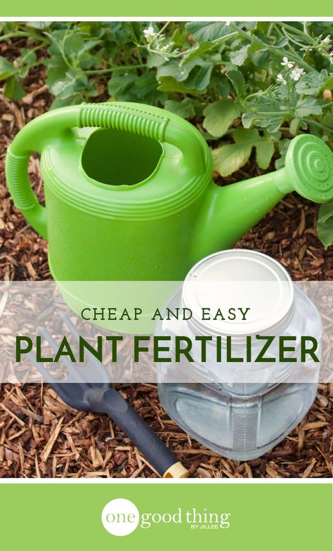 Diy Plant Fertilizer, Fertilizer For Indoor Plants, Home Made Fertilizer, Homemade Plant Fertilizer, Homemade Fertilizer, Diy Fertilizer, Flower Fertilizer, Plant Fertilizer, Miracle Grow