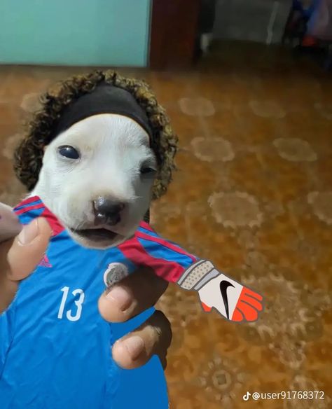 Memo Ochoa Pfp, Ochoa Pfp, Memo Ochoa, Mexico National Team, Soccer Goalkeeper, Edgars Haircut, Mexico Soccer, Soccer Memes, Soccer Drills