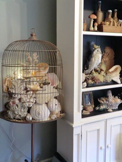 www.MossandIvy.wordpress.com Gentle Life, Seashell Collection, Seashell Display, Shell Display, Gentle Style, Seashell Projects, Bird Cage Decor, Shell Collection, Sea Shell Decor