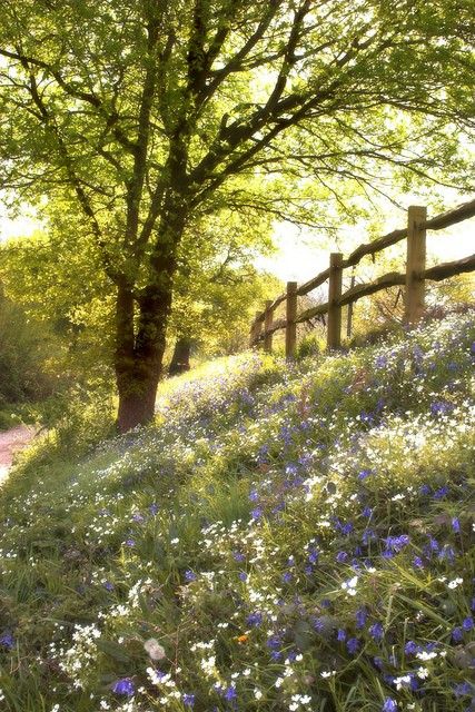 1 chronicles 28-9 Wooden Fence, Beltane, Green Gables, Alam Yang Indah, Nature Aesthetic, Country Life, Country Living, Beautiful World, Beautiful Landscapes