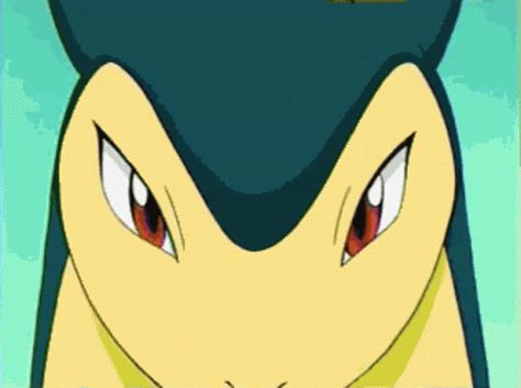 Typhlosion GIF - Typhlosion - Discover & Share GIFs Pokemon Platinum, Pokemon Official, Gold Pokemon, Wild Pokemon, Pokemon Gif, Random Gif, Pokémon Stuff, Pokemon Comics, Pokemon Memes