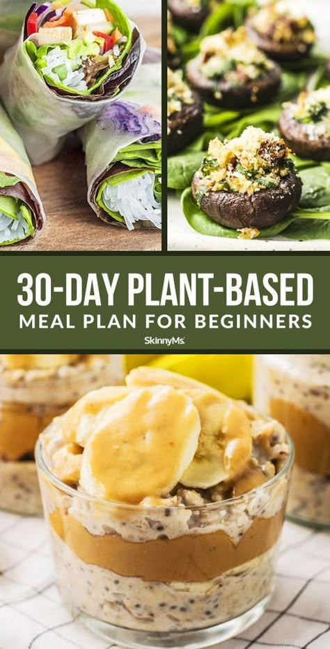 Are you interested in moving to a whole-food, plant-based diet? Our 30-day plant-based meal plan for beginners will walk you through everything you need to know to start on your plant-based journey. Plant Based Diet Meals, Plant Based Diet Meal Plan, Plant Based Meal Planning, Meal Plan For Beginners, Healthy Plant Based Recipes, Plant Based Diet Recipes, Plant Based Whole Foods, Ketogenic Diet Meal Plan, Vegan Meal Plans