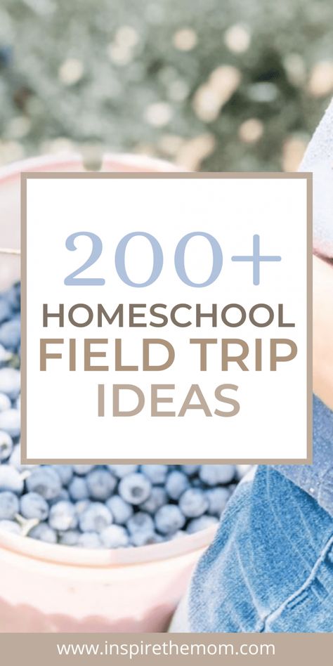 200 Homeschool Field Trip Ideas - Inspire the Mom Homeschool Field Trip Ideas, Field Trip Ideas, Homeschool Field Trips, Homeschool Preschool Activities, Homeschool Education, Homeschool Inspiration, Homeschool Schedule, Homeschool Learning, Homeschool Kindergarten