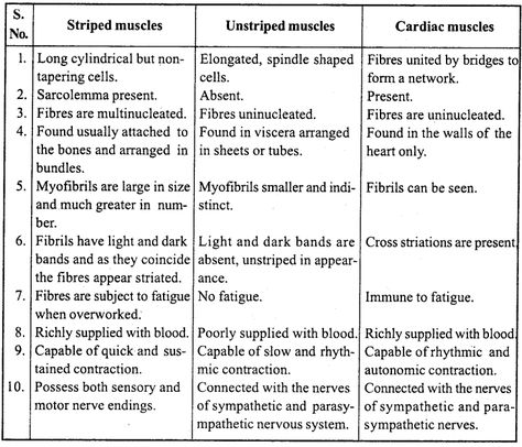 Class 11 Biology Notes Locomotion And Movement, Locomotion And Movement, Biology Class 11, Class 11 Biology, Bio Notes, Learn Biology, Pelvic Girdle, Muscle Twitching, Synovial Fluid