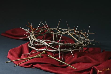 Church Altar Decorations, Church Easter Decorations, Church Stage, Palm Sunday, Crown Of Thorns, Holy Week, Altar Decorations, Church Decor, Good Friday