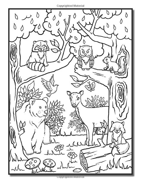 Coloring Book Trend, Animals In Nature Drawings, Woodland Colouring Pages, Woodland Creatures Coloring Pages, Wilderness Coloring Pages, Nature And Animals Drawing, Forest With Animals Drawing, Forest Colouring Page, Forest Ecosystem Drawing