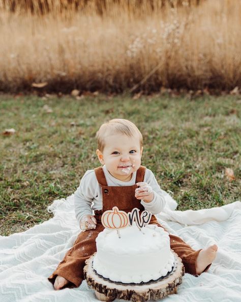 An outdoor smash cake session for this cuties first birthday 🥳 . . . #oneyearold #firstbirthday #smashthecake #cakesmashphotography #byronilphotographer Outdoor Smash Cake, Outdoor Birthday Photoshoot Ideas, Smash Cake Session, Boys 1st Birthday Cake, 1st Birthday Pictures, 1st Birthday Photoshoot, First Birthday Pictures, 1st Birthday Cake Smash, Outdoor Birthday