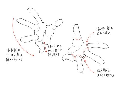 Arm Holding Something Reference, Hand Pointing Reference, Hand Reference Pointing, Open Hand Reference, Hand Pointing, Perspective Drawing Lessons, Human Anatomy Drawing, Hand Drawing Reference, Human Anatomy Art