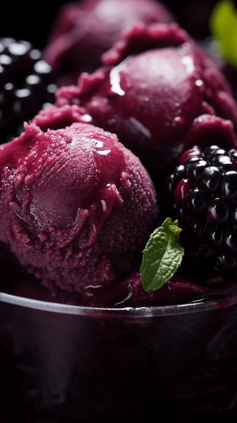 Berry Dip, Blackberry Sorbet, Elf On The Shelf Welcome, Elf On Shelf Ideas, Welcome Back Elf, Blackberry Ice Cream, Blackberry Dessert, Funny Elf On The Shelf, Ice Cream Photography