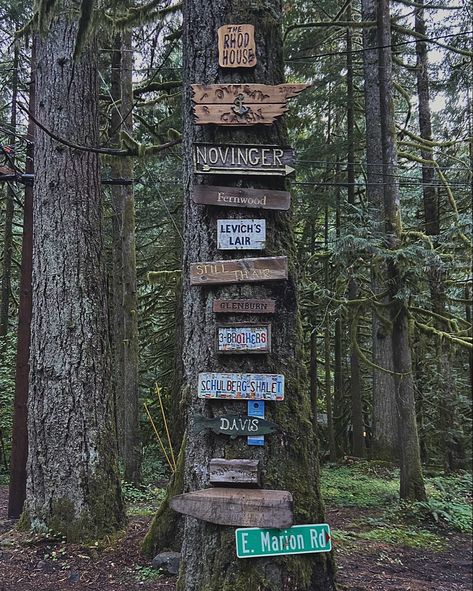 #pnw #pnwonderland #fall #signs #aesthetic #outdoor #forest #home Pnw Summer Aesthetic, Pacific Northwest Aesthetic, Falls Aesthetic, Signs Aesthetic, Pnw Aesthetic, June Gloom, Forest Home, Yellow School Bus, Pacific Nw